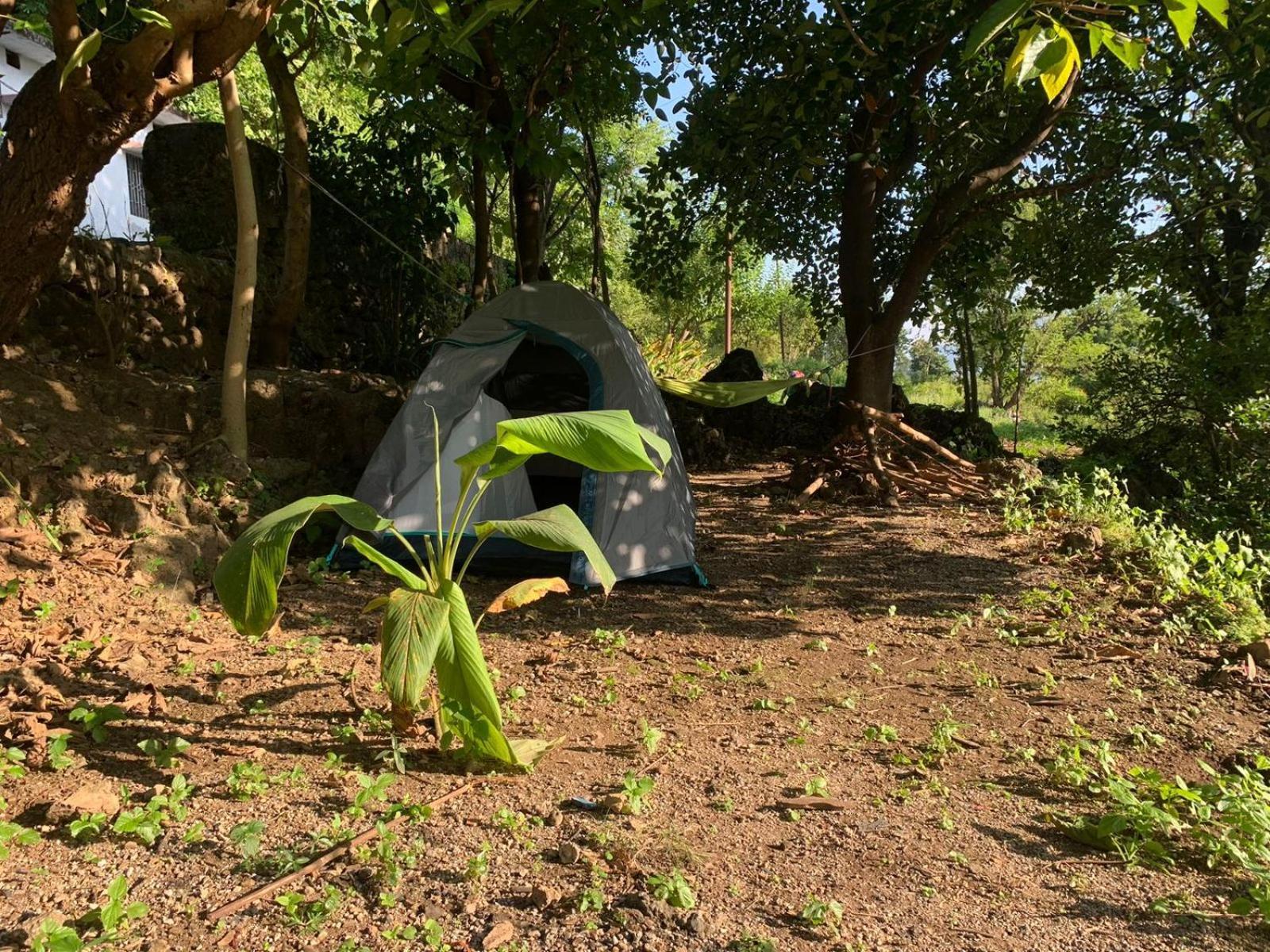 Banjara Hostel Rishikesh Bagian luar foto